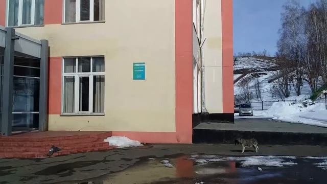 Санаторий «Шахтер». Зенковский район города Прокопьевск. Обзор территории.