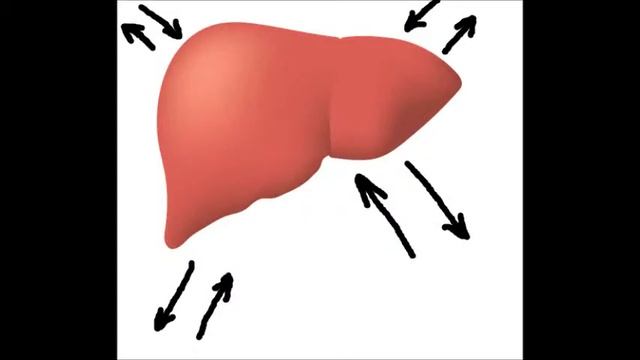 Императорский цигун. Лечение органов.Практика. Работа с печенью. смотреть онлайн
