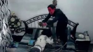 Бисмиллях