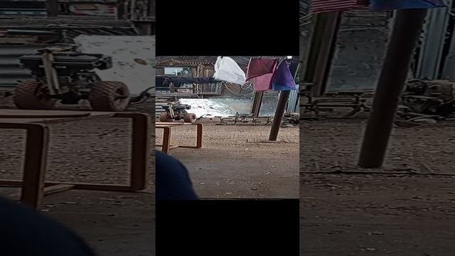 истории из жизни