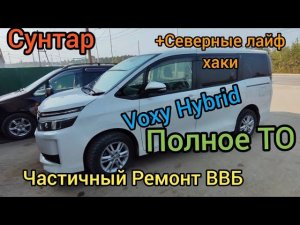 Toyota Voxy Hybrid ремонт ВВБ, ТО двигателя + полезные советы. (СУНТАР).