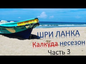 Восток Шри-Ланки. Калкуда. Часть 3. Где всё таки дожди?