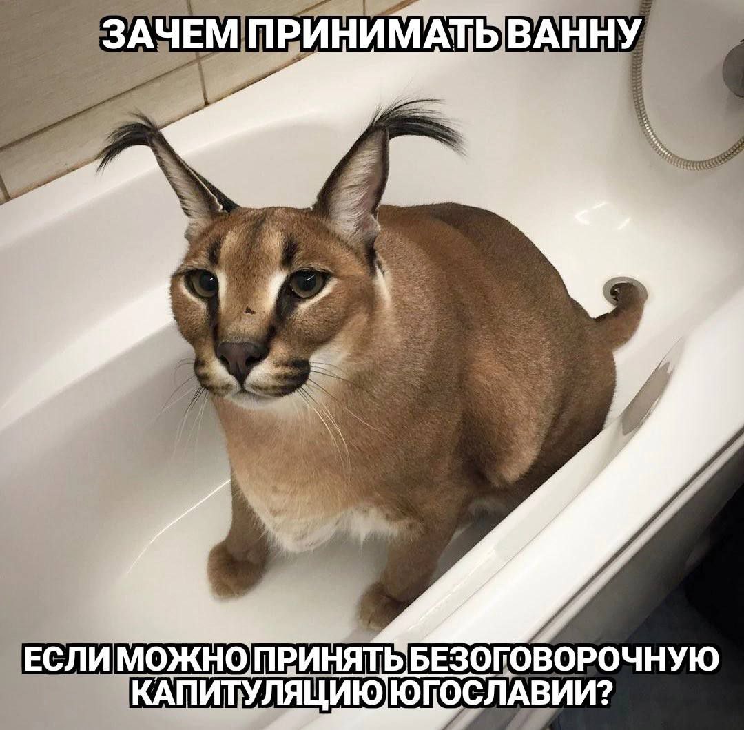 Спидран