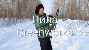 Аккумуляторная цепная пила GreenWorks G40CS30К2, проверка зимой!