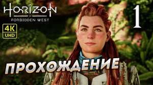 Прохождение Horizon: Forbidden West на PS4 Pro в [4K] ➤ Часть 1