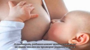 Грудное вскармливание: советы кормящим мамам
