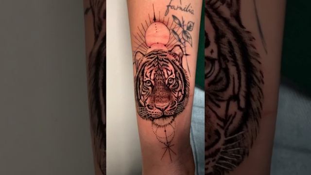 Tiger ? #tiger #tattoo #tattooart #tattooartist #bigcat #finelines