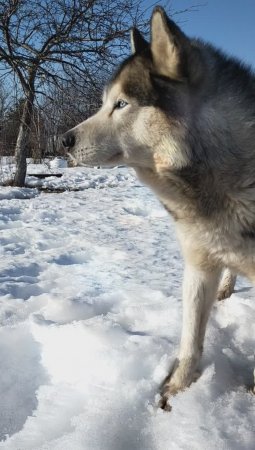 Ты меня не бойся!