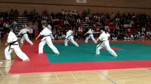 World Oyama Karate 2010 Fighter's Cup Kata demo