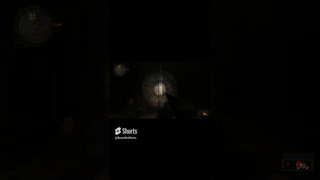 Слабонервность Бонса #shorts #сталкер #stalker смотреть онлайн