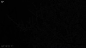 Истории про волков и людей – животные тоже хотят жить. Рассказы про животных. Случай в тайге расска