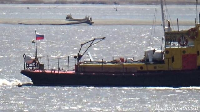 ВОТ ЭТО Я СХОДИЛ НА РЫБАЛКУ!РЫБА НА КАЖДОМ ЗАБРОСЕ#рыбалка2023 #fishing