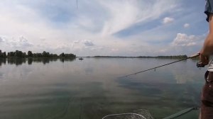 Ловля судака Спиннингом на запрещенные снасти
