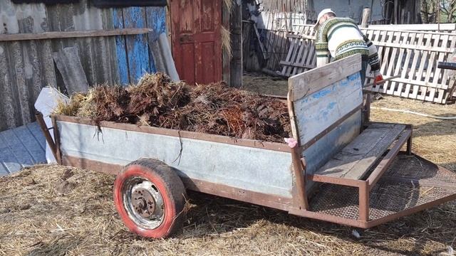 Вывоз навоза мотоблоком весной 21-го года