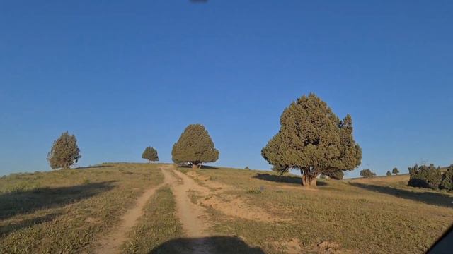 в поисках чабанов горный Нохур! смотреть онлайн