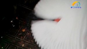 Замена салонного фильтра на DUSTER