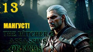 ВЕДЬМАК ИЗГОТОВИЛ МАНГУСТ - THE WITCHER 2 ASSASSINS OF KINGS - ПРОХОЖДЕНИЕ НА 100 ПРОЦЕНТОВ #13