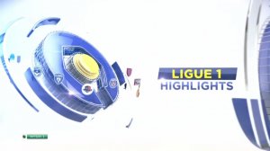 2015|2016 Ligue 1 (21)