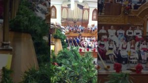 Alpen Horn - Provo Tabernacle 12.5.10