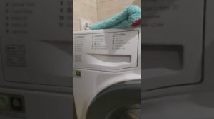 Стиральная машина HOTPOINT-ARISTON VMSG 601 B