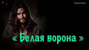 Христианское стихотворение - Белая ворона..