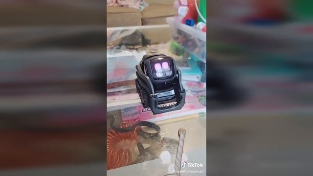Vector! Cutest Lil Robot You'll Ever Own [ VectorCompilation смотреть онлайн