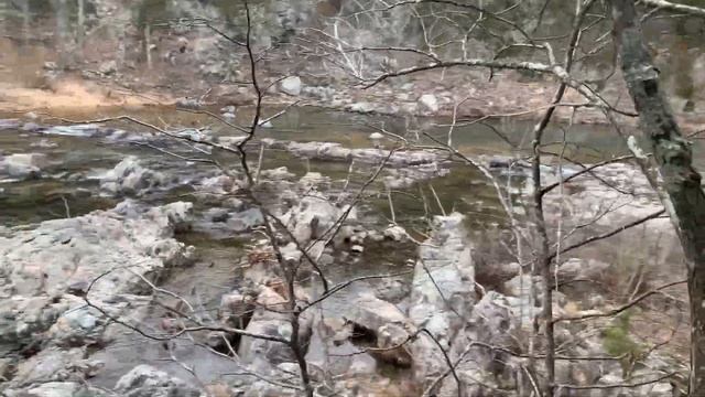 2 Billion Year Old Man - Johnson Shut Ins - Ozark Hippie Camp смотреть онлайн