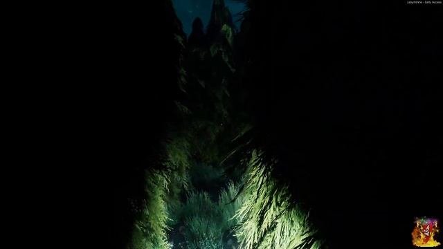 ЛАБИРИНТ УЖАСОВ ► Labyrinthine #1 Кооперативное Прохождение
