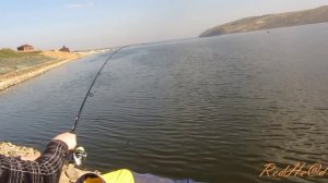 Ловля крупного карася! Рыбалка без границ 22.09.2014 г.