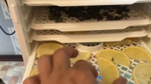 Обзор сушилки для овощей и фруктов MARTA. Покупки полезные для дома?