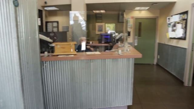 Vlog || День Рождения Мамы и Собака Попала в Больницу смотреть онлайн