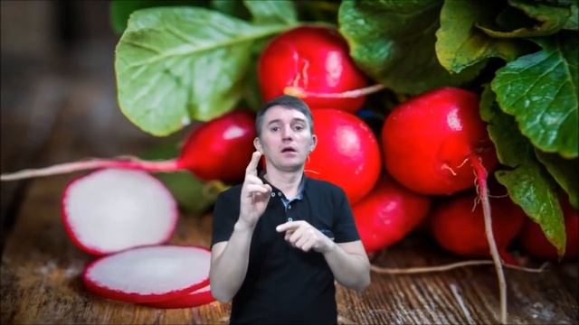 Редиска полезные свойства