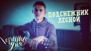 Подснежник лесной (#Cover by Igor Gurskiy)