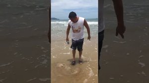 Хайнань Санья Бей Медуза из Южно Китайского моря
