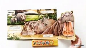 Книга саванны