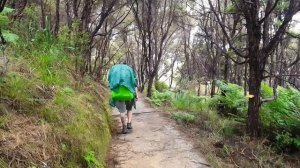 5 Day HIKE in the WILDERNESS of Abel Tasman, New Zealand