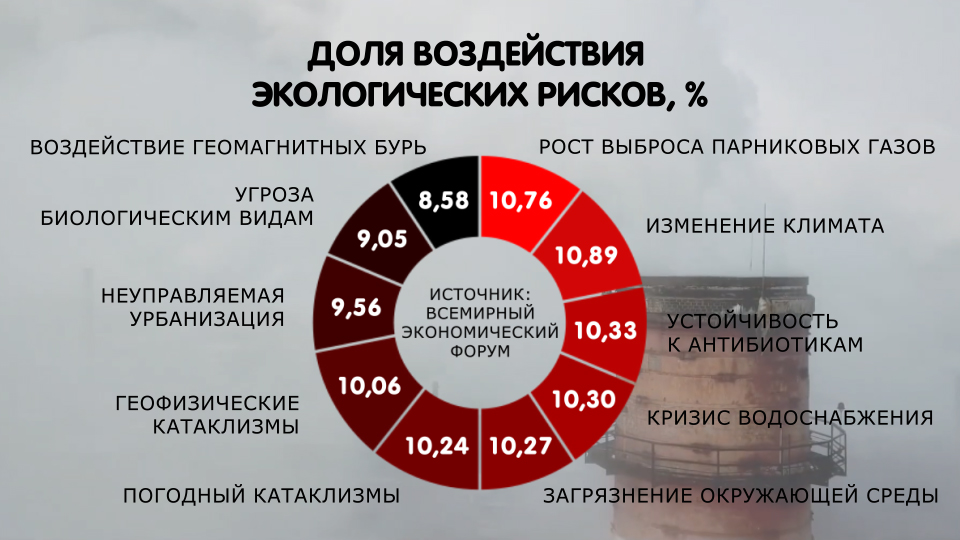 Город или Природа?