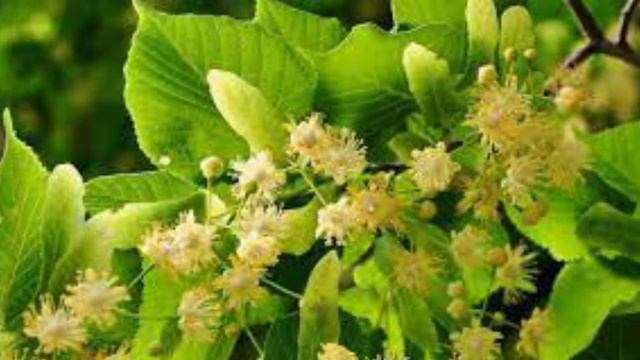 Я ПОМНЮ ЛЮБИМАЯ Николай Ковинькин смотреть онлайн