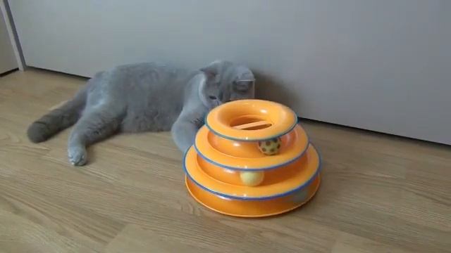 Игрушка для кошек Petstages смотреть онлайн