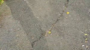 набережная в Слюдянке, Байкал