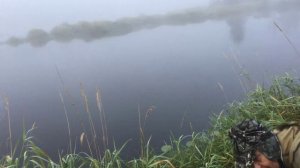 Ловля щуки на спиннинг в августе на реке Аять