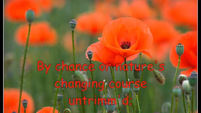 Sonet XVIII Shakespeare by M.B. смотреть онлайн