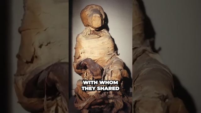 Discovering the Unbelievable Ancient Egyptian Animal Mummies! #facts #motivation #egypt