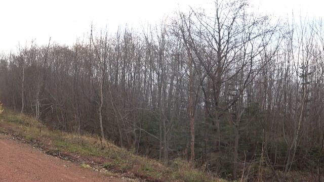 Охота на рябчика смотреть онлайн