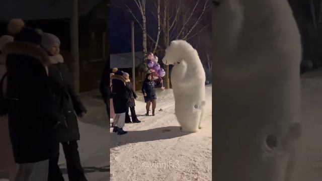 Сюрприз на День Рождения от белого мишки Вини ❤️ смотреть онлайн