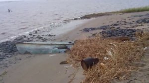 ловля креветок в белом море (полная режесерская версия)