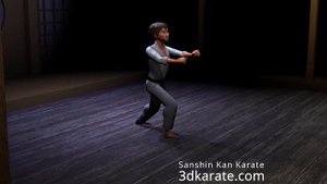 Karate Kata - Saifa - Shito-ryu