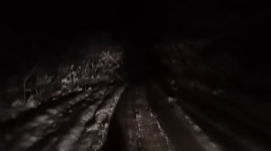 Гриша Заречный. Шоферская история.