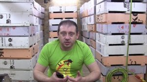 Бизнес дома для мужчин! Разведение червей Дендробена! Сколько потратил? Ответы на вопросы.