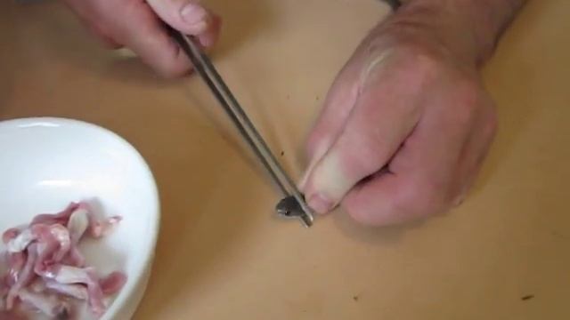 Force feeding snakes смотреть онлайн